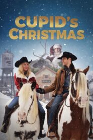 Cupid’s Christmas Online En Netflix