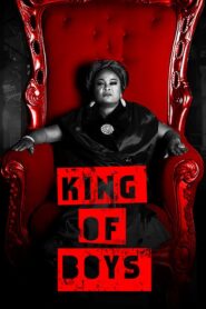 King of Boys Online En Netflix