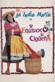 Se equivocó la cigüeña Online En Netflix