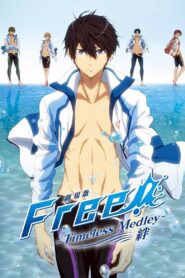 劇場版 Free! -Timeless Medley- 絆 Online En Netflix