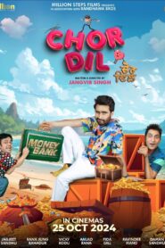 ਚੋਰ ਦਿਲ Online En Netflix