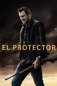 El Protector Online En Netflix