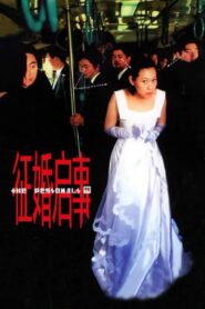 徵婚啓事 Online En Netflix