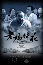 老妈蹄花 Online En Netflix