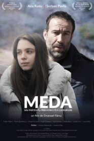 Meda sau partea nu prea fericită a lucrurilor Online En Netflix