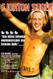 Fjorton suger Online En Netflix