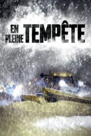 En pleine tempête 2016 En Netflix