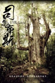 司馬庫斯 Online En Netflix
