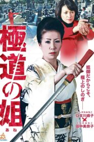 極道の姐 Online En Netflix