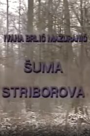 Šuma Striborova Online En Netflix