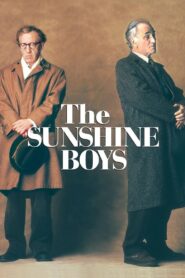 The Sunshine Boys Online En Netflix