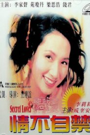 精装情不自禁 Online En Netflix