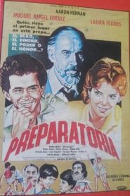 Preparatoria Online En Netflix
