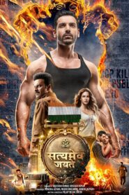 सत्यमेव जयते Online En Netflix