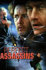 Perfect Assassins Online En Netflix