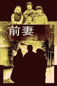 前妻 Online En Netflix