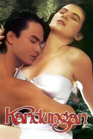 Kandungan Online En Netflix