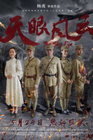 天眼风云 Online En Netflix
