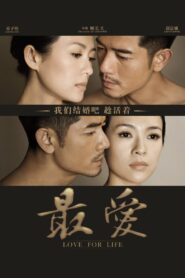 最爱 Online En Netflix