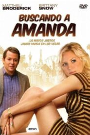 Finding Amanda Online En Netflix