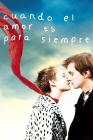 Cuando el amor es para siempre Online En Netflix
