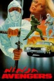 Ninja Avengers Online En Netflix