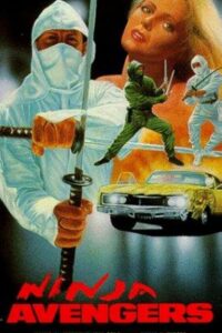 Ninja Avengers Online En Netflix