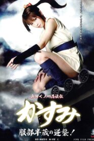 真田くノ一忍法伝 かすみ 服部半蔵の逆襲! Online En Netflix