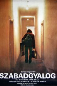 El Intruso Online En Netflix