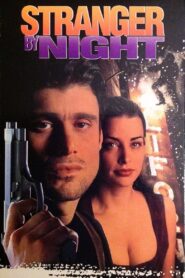 Stranger by Night Online En Netflix