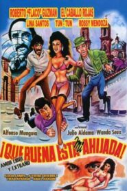 ¡Qué buena está mi ahijada! Online En Netflix
