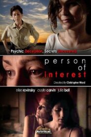 Person of Interest Online En Netflix