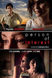 Person of Interest Online En Netflix