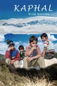 Kaphal: Wild Berries Online En Netflix