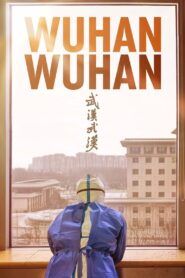 武汉！武汉 Online En Netflix