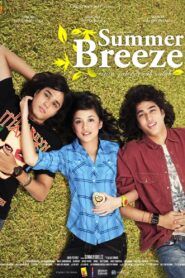 Summer Breeze Online En Netflix