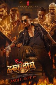ह्रस्व दीर्घ Online En Netflix