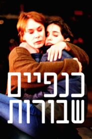 כנפיים שבורות Online En Netflix