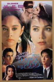 Kapag Iginuhit Ang Hatol Ng Puso Online En Netflix