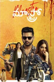 మాస్ట్రో Online En Netflix
