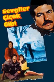 Sevgiler Çiçek Gibi Online En Netflix