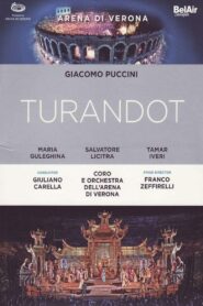 Turandot – Puccini – Live from Verona Online En Netflix