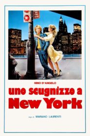 Uno scugnizzo a New York Online En Netflix