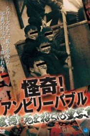 怪奇！アンビリーバブル 震撼！死を招く心霊写真 Online En Netflix
