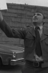 King Blank Online En Netflix