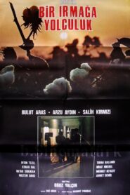 Bir Irmağa Yolculuk Online En Netflix