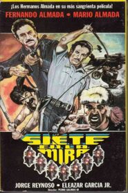 Siete en la mira Online En Netflix