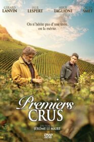 Premiers crus Online En Netflix
