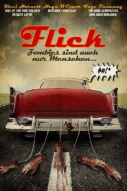 Flick Online En Netflix
