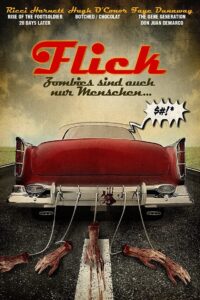 Flick Online En Netflix